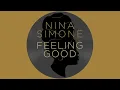 Nina Simone, Austin Millz - Feeling Good (Austin Millz Remix / Visualizer)