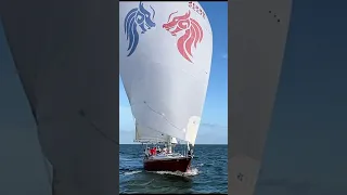 #sailing #racing #fun #water #shorts #dolphin