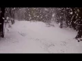 Realistic Snowfall Using Trapcode Particular After Effects