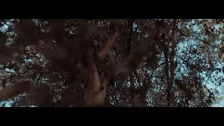 حالات واتس ويجز واحد وعشرين 