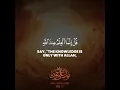 Download Lagu Surah Al Mulk  | Abdul Wali Al-Arkani | Light Upon Light | Whatsapp Quran Status | #shorts