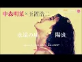 Download Lagu 中森明菜  -  永遠の扉 / 陽炎