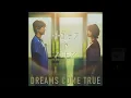 (offvocal) DREAMS COME TRUE / さよならとバトン リアルカラオケ(Instrumental)ドラマ 「救命病棟24時 (6) 」主題歌 Key C 96bpm