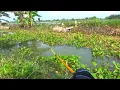 Ini mancing malah untung besar! Mancing bayar 30 ribu mancing sebentar saja hasilnya seperti ini 