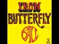 Iron Butterfly - Soul Experience (1969)