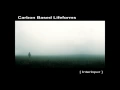 Download Lagu Carbon Based Lifeforms - Interloper [Full Album]