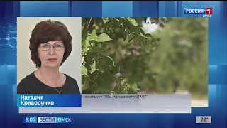 В Омск возвращаются жаркая погода, ливни и грозы