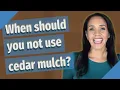 When should you not use cedar mulch