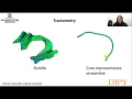 Tractometry Part 1 - Introduction to Tractometry and BUAN