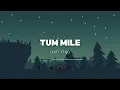 Tum Mile (Lofi Flip)