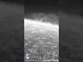 Download Lagu Stunning View of a Prominence on the Sun’s Edge! Seen Through My Telescope #astronomy #space
