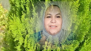 عتقو المسطيج شاده الخلعه من خوسيفينا وسميره خلات المخسور يشرب الدواء بالفقصه 