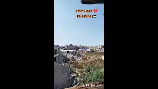                                             عائلة أبو يوسف غزة دندنها