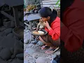 Download Lagu dalin eating with monkey than monkey kiss wman #dogs #animallife #dogli #cat #animals #puppy #monkey