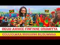 Download Lagu oduu  Afaan Oromo Oduu-Ammee Injifannoo Cululuqaa WBO Ammee Afaan Oromoo / 2024 // ‎@AniAna-le1ls 