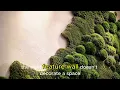 From Cold Office to Stunning Preserved Moss Wall Biophilic Office Design Transformation