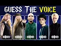 Guess The Character By Their Voice Harry Potter Edition