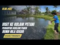 Lagu VISIT KOLAM PETANI PENDEDERAN NILA KEKAR