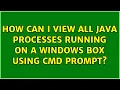 How can I view all Java Processes running on a windows box using CMD prompt