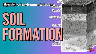 AP Environmental Science - Soil Formation Composition