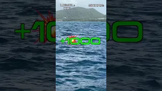 Sail Life – The game: Destroy the fishing pods!  #saillife #sailing