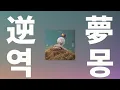 이뤄지지 않을 꿈이라도⭐️: King Gnu(킹누) - 역몽(逆夢, Sakayume) (주술회전 OST) [가사/발음/한글 자막/해석]