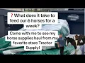 What does it take to feed 6 horses for a week Come with me to see my Tractor Supply horse haul