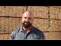Meet UFP Matt Holmes Pursuing Excellence