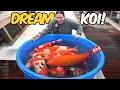 Lagu Dream Koi Shopping at Sakai Fish Farm (Worth It?)