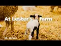 Little visit Lester s Farm Chalet