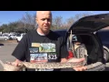 Bibb County Tax Commissioner s Office Gets Wild For Wildlife Tag D