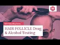 Hair Follicle Drug Test For Trucking Employment Court-ordered and More