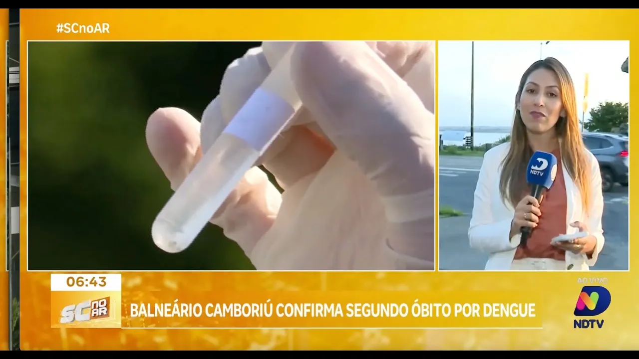 Dengue em Balneário Camboriú: segundo óbito é confirmado na cidade