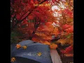 fall rain | playlist #1