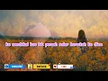Download Lagu ANGKAT TANGAN - ASILA MAISA Cover [ Iva Andina ] Lirik Vidio #musik #asilamaisa