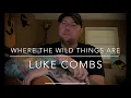 Where The Wild Things Are - Luke Combs guitar lesson