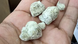 What Are Snow Balls?