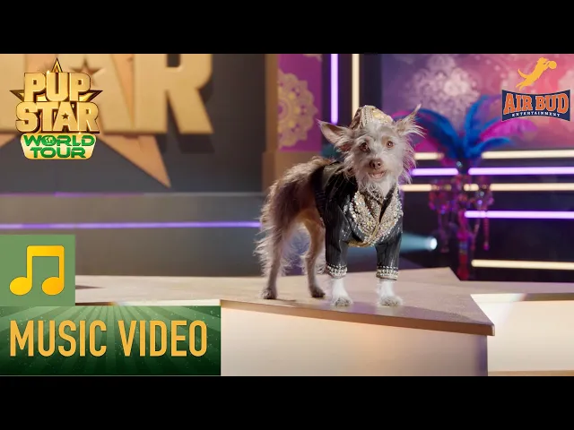 PUP STAR: WORLD TOUR MUSIC VIDEO - 'Slum Dog' by RAJI