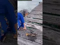 Lagu Emak-emak mancing cumi-cumi di laut