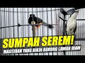 Download Lagu BAWAIN LAGU PENTET MATAHARI?
