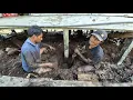Download Lagu RELA MANDI LUMPUR DI KOLONG RUMAH YANG DOYONG! GOTONG ROYONG MEMPERBAIKI RUMAH PAK ARIANTO