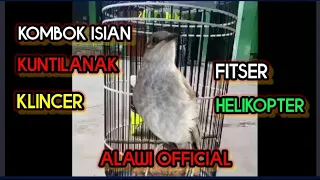 kombok isian kuntilanak klincer fitser helikopter burungjuara masteranburunglomba burunggacor