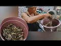 Download Lagu CAMPUR PEKASAM DENGAN  BERAS YANG SUDAH DI GORENG // ORI PEKASAM RUMAH PANJANG //