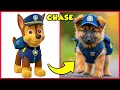 How Paw Patrol Characters Look In Real Life Guess The Paw Patrol Characters by Voice