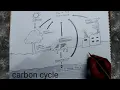 how to draw carbon cycle