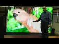 Sharp TV review by AV4U mp4