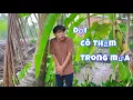 Download Lagu Tin sai người | Sinl Official
