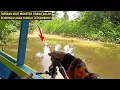 Download Lagu Spot anak sungai tersembunyi dan jarang di pancing ini ternyata isi nya babon-babon udang galah