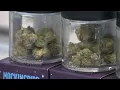 MARIJUANA CASES EXPUNGED Greene County s circuit clerk explains timeframe