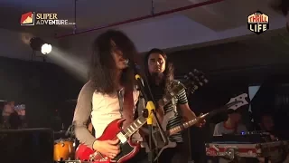 Download The SIGIT - Black Amplifier / Live at Thrill of Life MP3